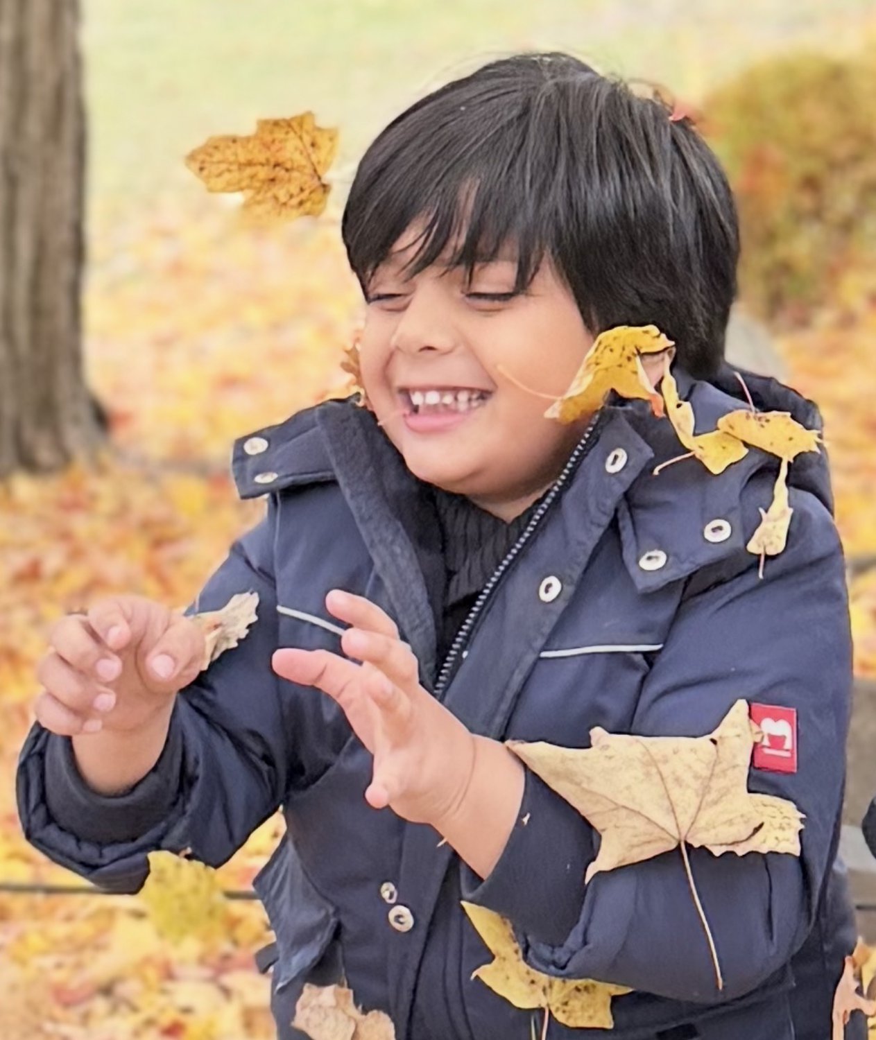 Mobile Wedding Invitations